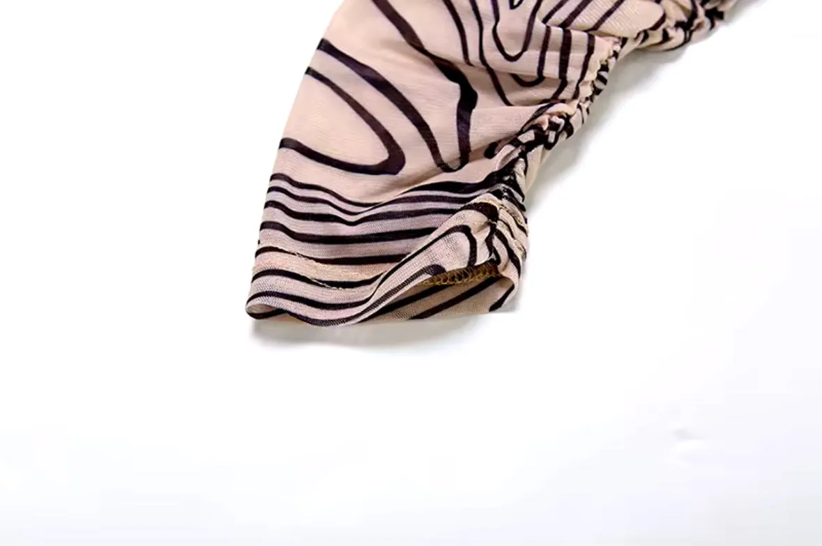 In Your City Mesh Zebra Two Piece Set